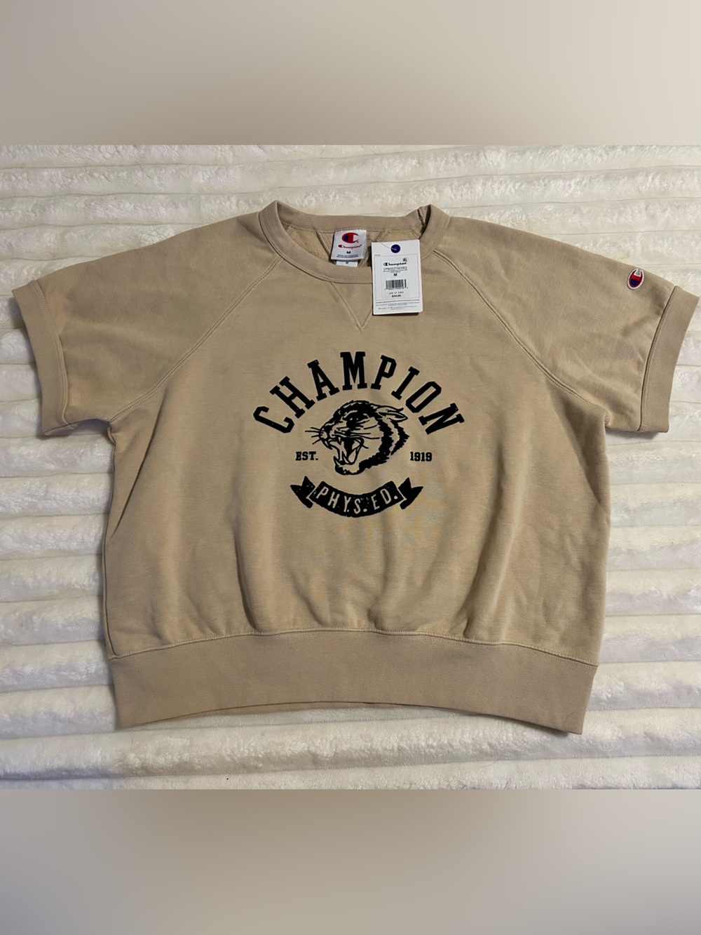 Champion Rec Center Raglan Pullover in Sand